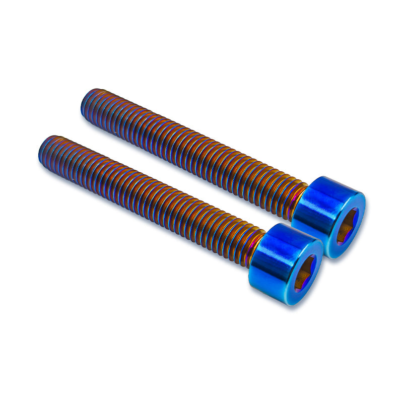 Brake Lid Bolts
